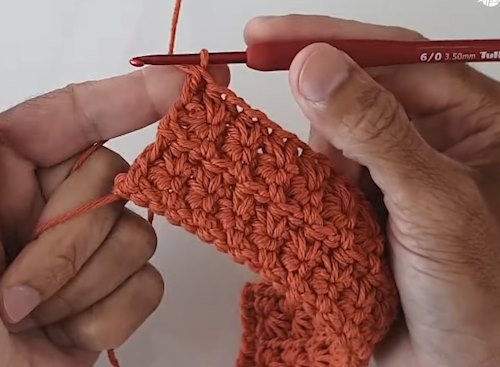 Starting rows of fantasy stitch in first color